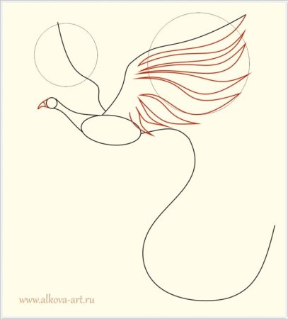 Поэтапто рисование жарпиицы