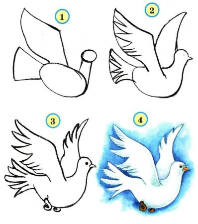 Поэтапное рисование птиц