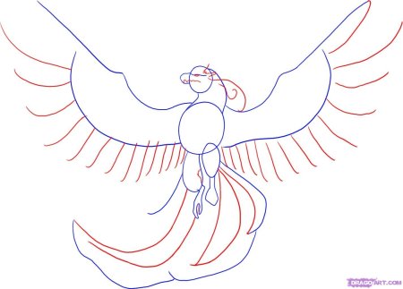 Жар птица поэтапное рисование