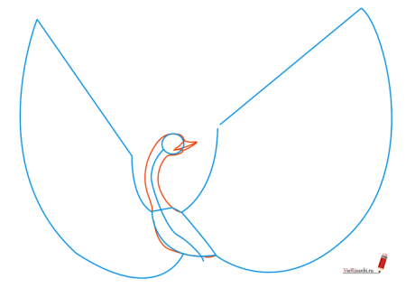 Поэтапный рисунок Жар птицы