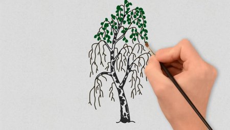 Рисунок березы пошагово