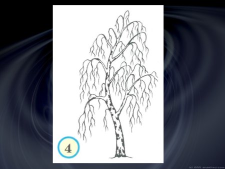 Схемы поэтапного рисования дерева