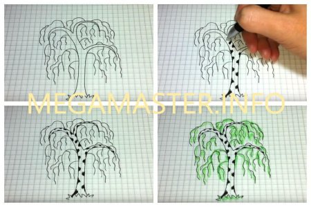 Этапы рисования дерева