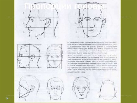 Схема рисования портрета для детей в профиль