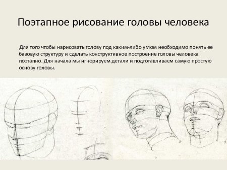 Построение головы человека рисунок