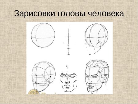 Этапы построения головы человека