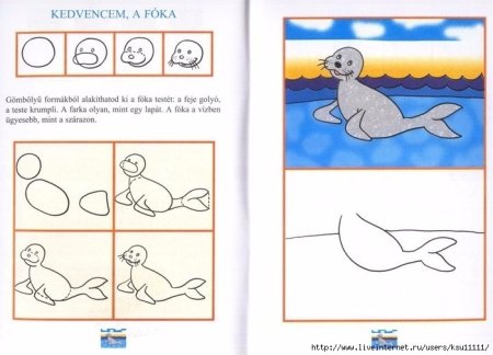 Тюлень рисунок поэтапно (53 фото)