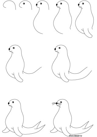 Рисование морской котик