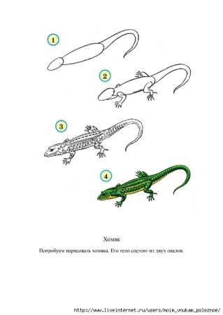 Ящерица рисунок для детей поэтапно