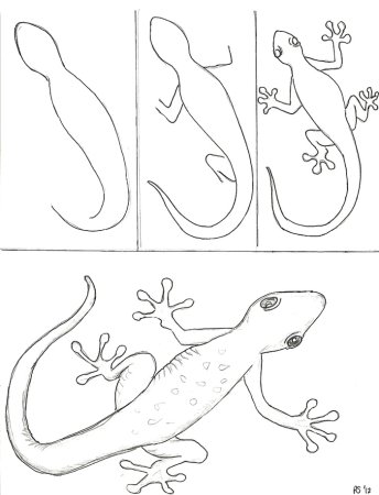 Схемы ящериц для рисования