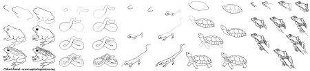 Рептилии для рисования