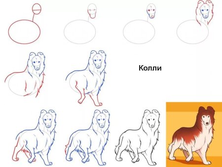 Схема рисования собаки для детей