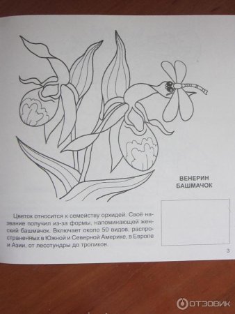 Краснокнижные растения раскраска