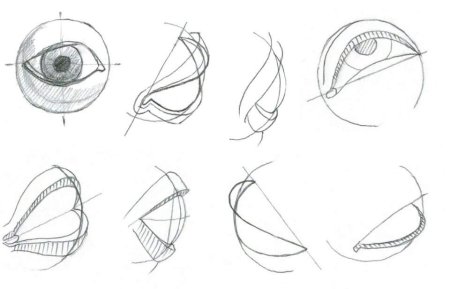Баммес анатомия глаз