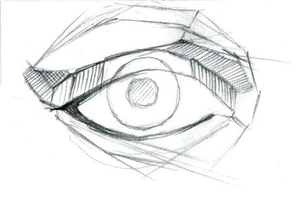 Конструктивное построение глаза