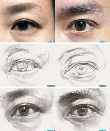 Глаза в различных ракурсах