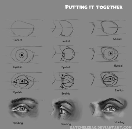 Анатомия человеческого глаза для рисования