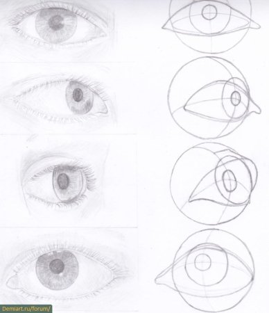 Глаз пошагово карандашом