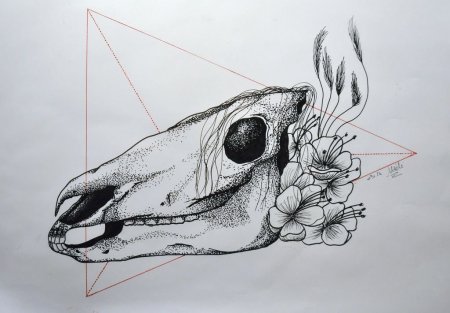 Череп лошади эскиз