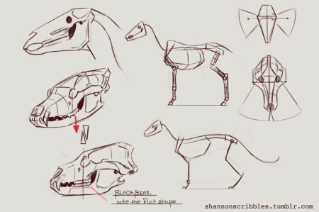 Череп лошади сбоку туториал