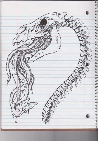 Череп лошади сбоку туториал