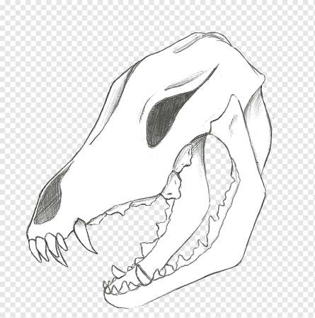 Голова коня референс