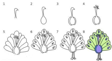 Павлин поэтапное рисование для детей