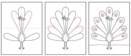 Как нарисовать павлина поэтапно для детей