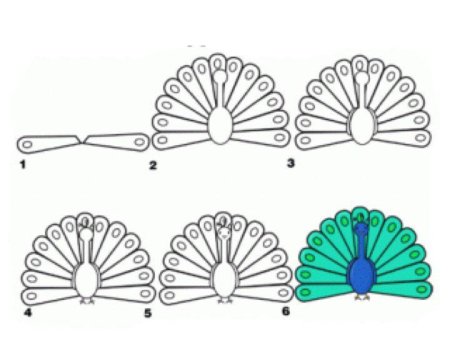 Схема рисования павлина