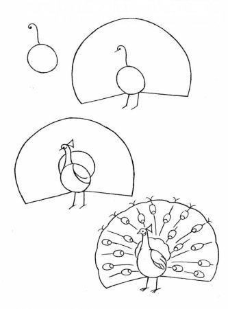 Павлин поэтапное рисование