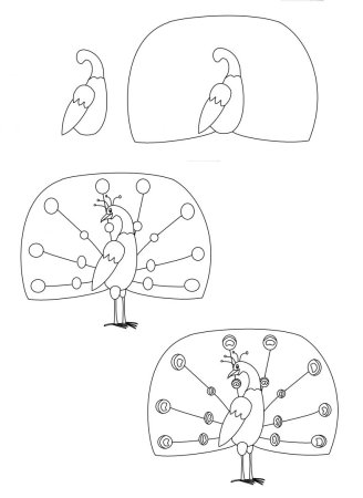 Павлин рисунок для детей