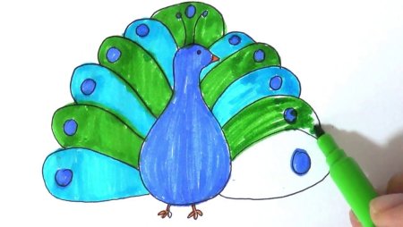 Павлин поэтапное рисование для детей