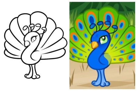 Тукан поэтапное рисование