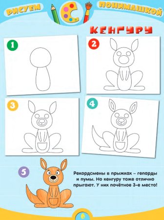 Учимся рисовать кенгуру