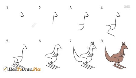 Кенгуру рисунок поэтапно