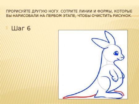 Пошаговое рисование кенгуру для детей