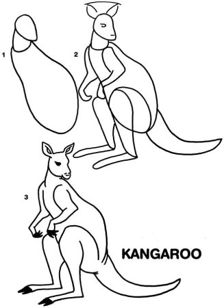Поэтапное рисование кенгуру
