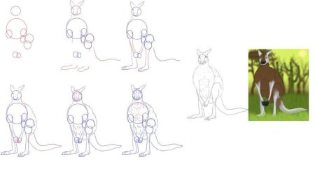 Рисование кенгуру подготовительная группа