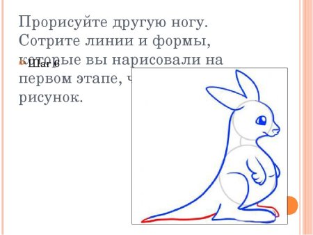 Поэтапное рисование кенгуру для детей