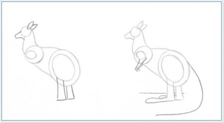 Кенгуру рисунок карандашом