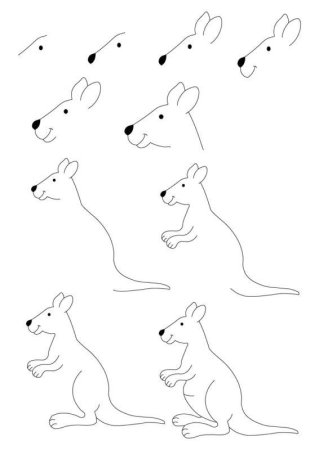 Кенгуру рисунок поэтапно