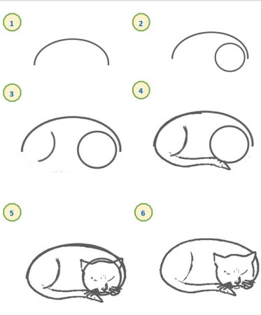 Кошку нарисовать как нарисовать