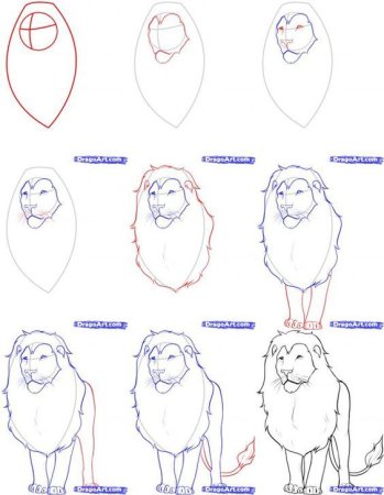 Рисунок лев поэтапно для детей (54 фото)