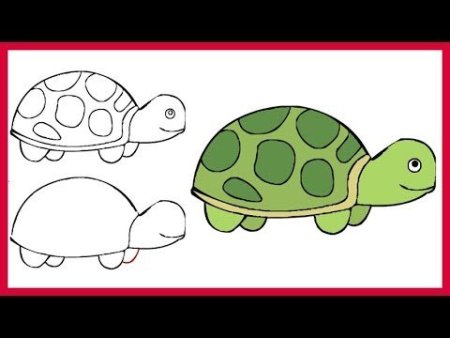 Как нарисовать черепаху