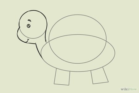 Черепаха поэтапно для детей рисунок (51 фото)