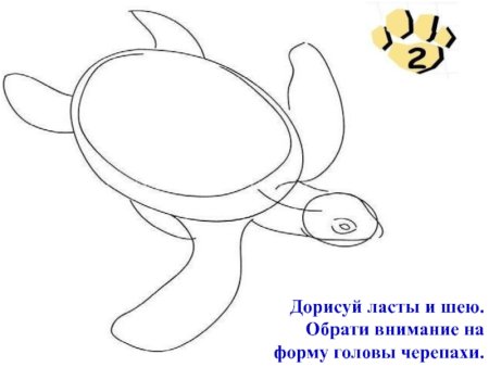 Поэтапное рисование черепахи