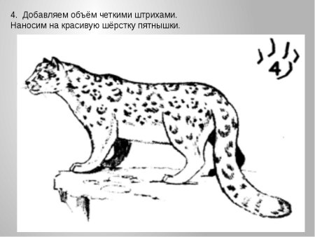 Леопард рисунок карандашом поэтапно