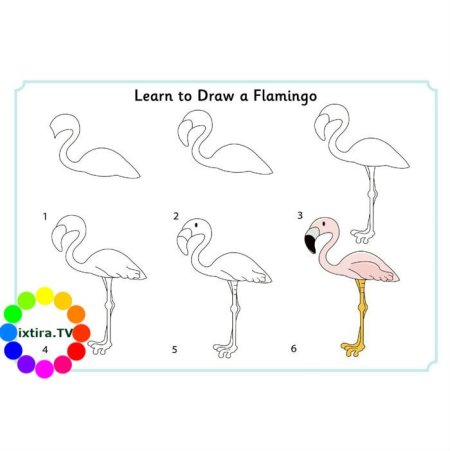 Как нарисовать Фламинго поэтапно