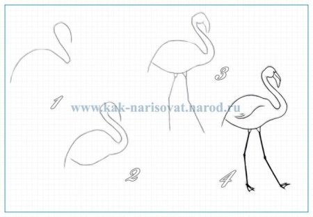 Фламинго акварелью