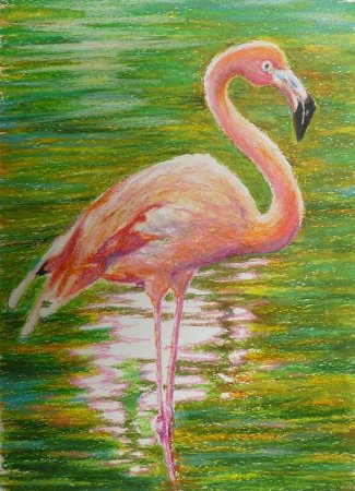 Поэтапное рисование Фламинго для детей